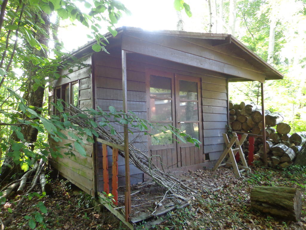Green Hill Guest House And Apartment Overijse Eksteriør bilde